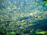 DSC00166_1 web.jpg